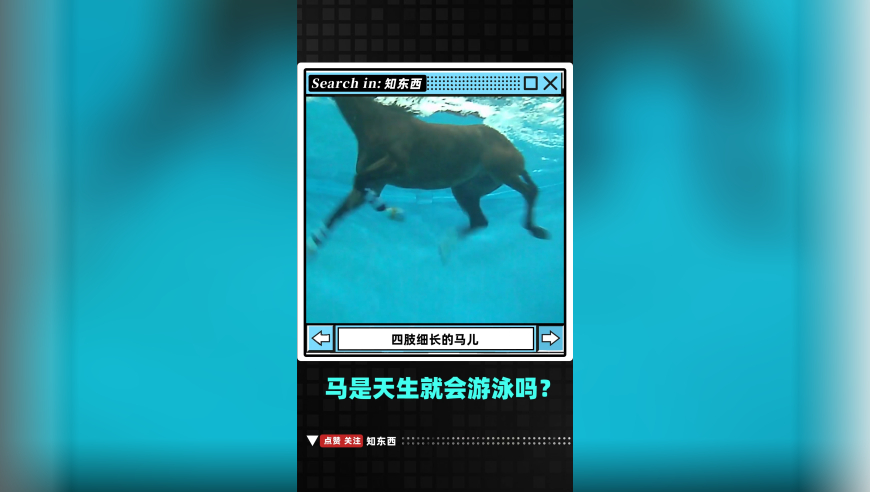 “京东外卖”静悄悄上线,正版香港大版六皇资料2025版,决策资料解释落实_手游版V3.86